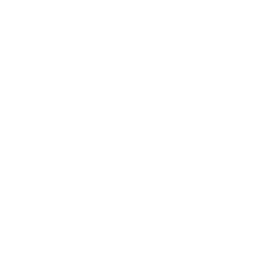 Divine Idol